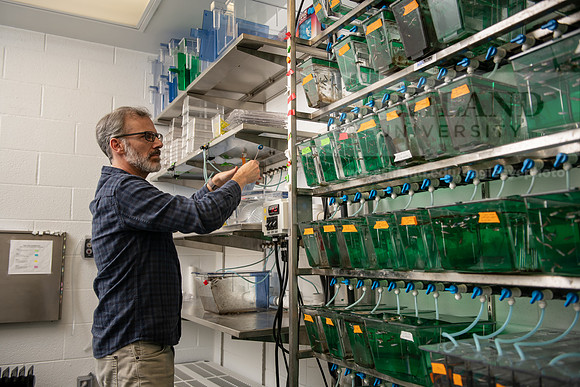PosnerMasonZebraFish0922ALW_5457
