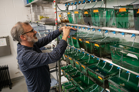 PosnerMasonZebraFish0922ALW_5471