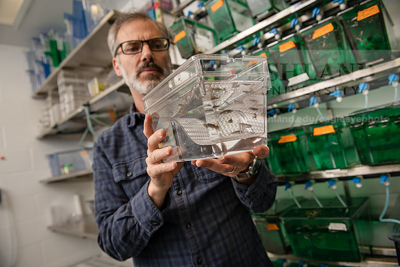 PosnerMasonZebraFish0922ALW_5510