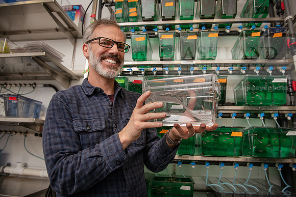 PosnerMasonZebraFish0922ALW_5514