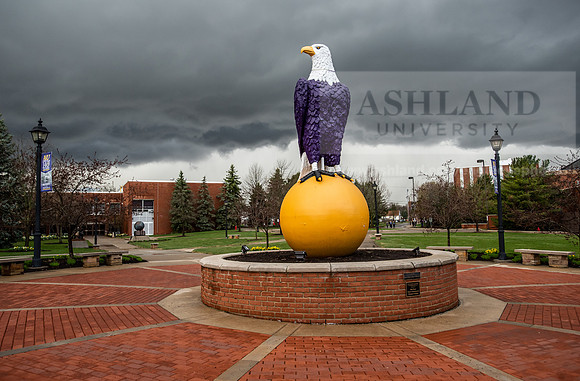 EagleStorm0419ALW_1396