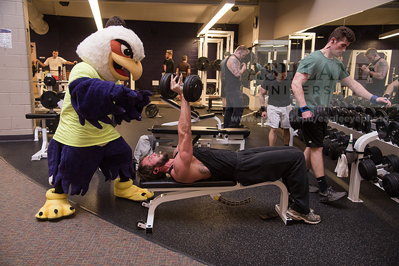 Tuffy - Campus Wellness Program