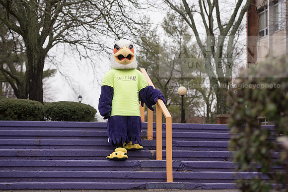 Tuffy - Campus Wellness Program