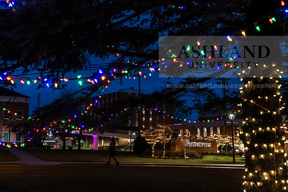 ChristmasDecorations1224AWB_5411
