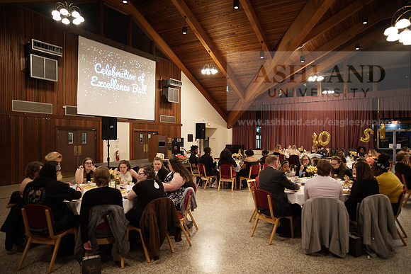 CelebrationOfExcellence1210AP_05019