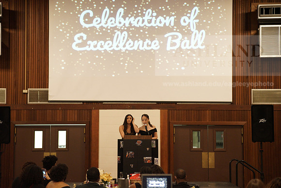 CelebrationOfExcellence1210AP_05102