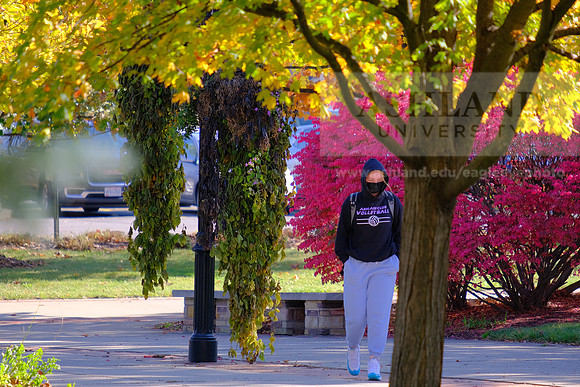 FallCampus1105AP_4375