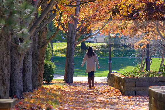FallCampus1105AP_4433