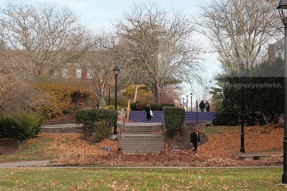 FallCampus1130AP_4951