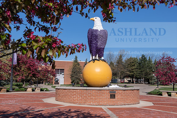 EagleOldAbeSpring0421ALW_7570