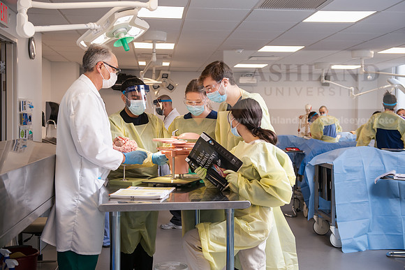 PAProgramCadaverLab1221ALW_4286