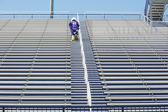 Tuffy Preparing for Marathon
