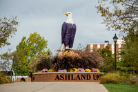 FallCampusLife1023AWB_1427