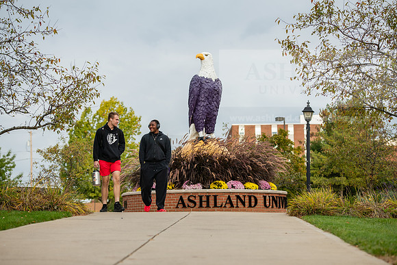 FallCampusLife1023AWB_1435