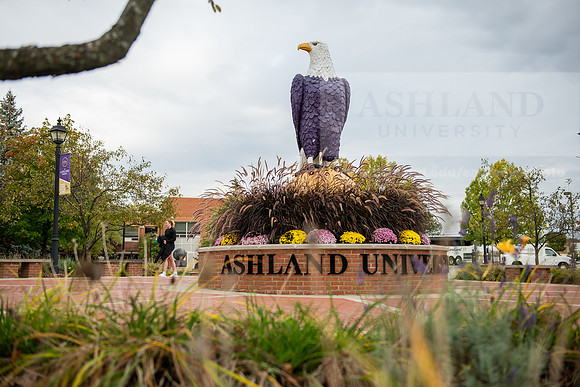 FallCampusLife1023AWB_1467