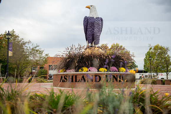 FallCampusLife1023AWB_1470