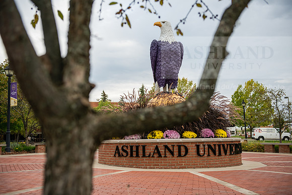FallCampusLife1023AWB_1474