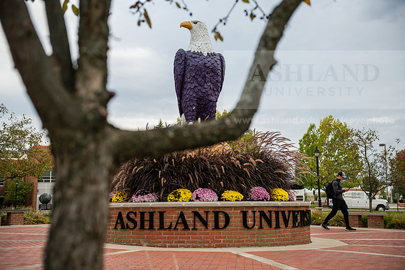 FallCampusLife1023AWB_1477