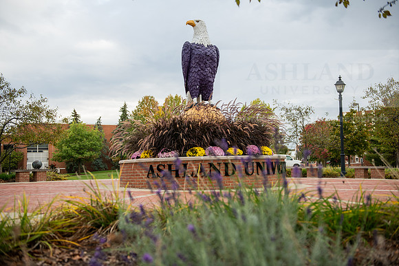 FallCampusLife1023AWB_1480
