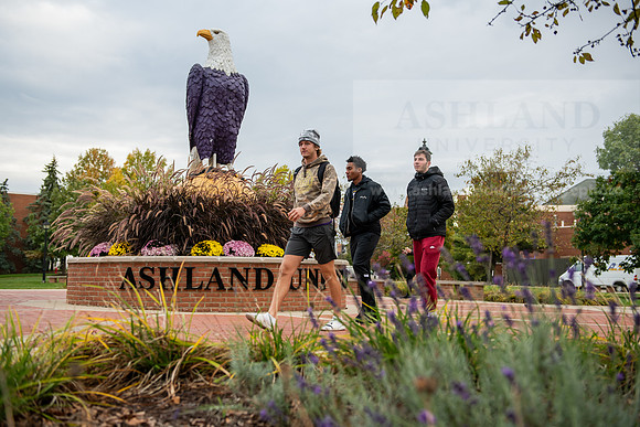FallCampusLife1023AWB_1513