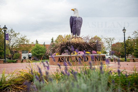 FallCampusLife1023AWB_1521