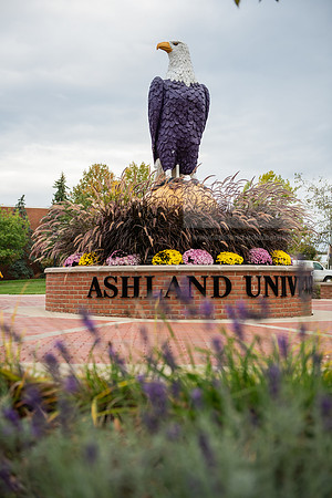 FallCampusLife1023AWB_1527