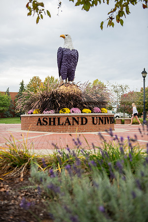 FallCampusLife1023AWB_1532