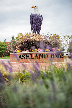 FallCampusLife1023AWB_1543