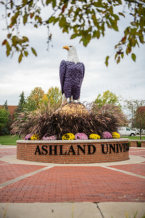 FallCampusLife1023AWB_1547