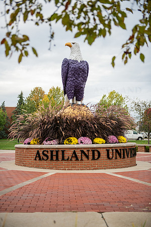 FallCampusLife1023AWB_1552