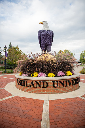 FallCampusLife1023AWB_1561