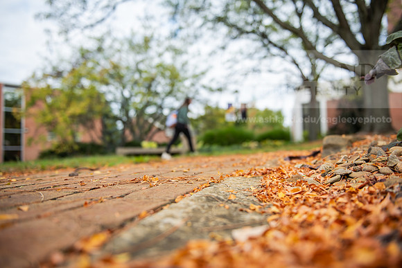 FallCampusLife1023AWB_2275