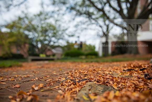 FallCampusLife1023AWB_2281