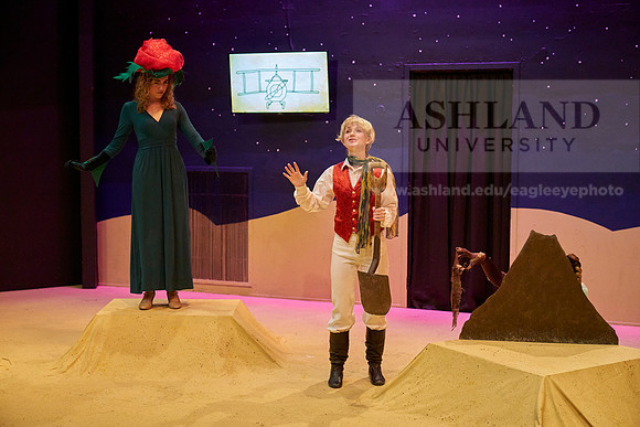 LittlePrince-0406_AP_08025
