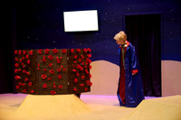 LittlePrince-0406_AP_08278