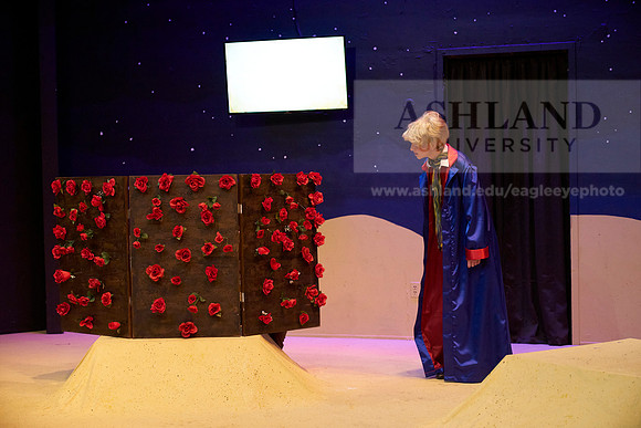 LittlePrince-0406_AP_08278