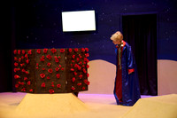 LittlePrince-0406_AP_08279