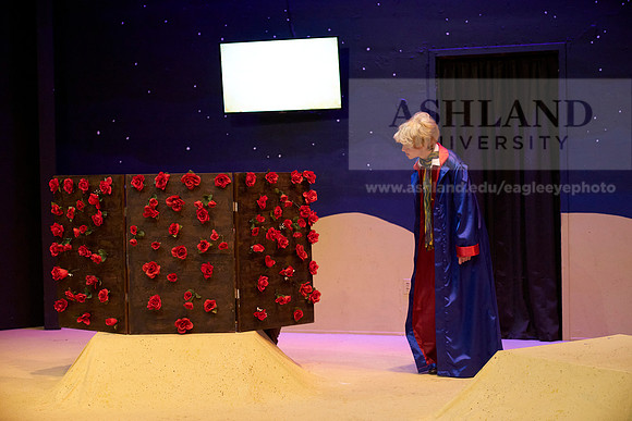 LittlePrince-0406_AP_08279