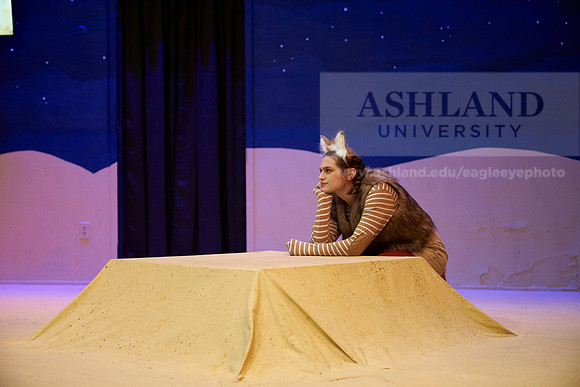 LittlePrince-0406_AP_08300
