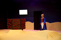 LittlePrince-0406_AP_08275
