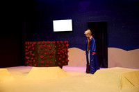 LittlePrince-0406_AP_08277