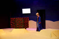 LittlePrince-0406_AP_08276