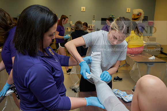 Nursing college-0329_AP_07533