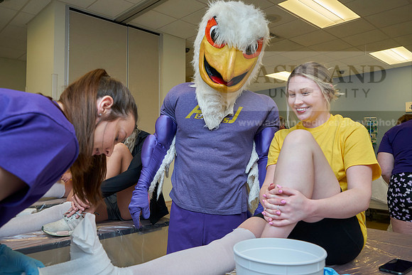 Nursing college-0329_AP_07478