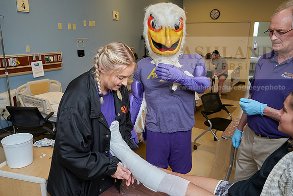 Nursing college-0329_AP_07493