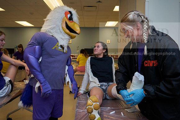 Nursing college-0329_AP_07537