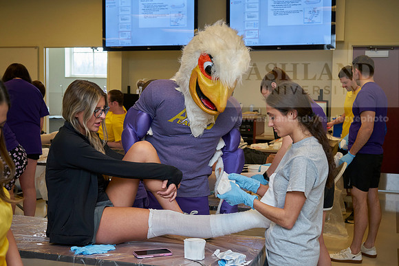 Nursing college-0329_AP_07480