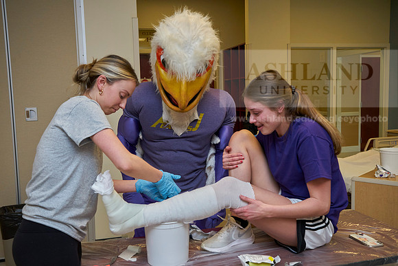 Nursing college-0329_AP_07564