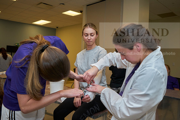 Nursing college-0329_AP_07604