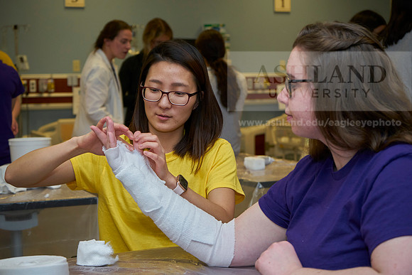 Nursing college-0329_AP_07599